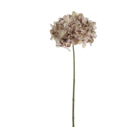 HYDRANGEA MINI VINTAGE (6261-34)