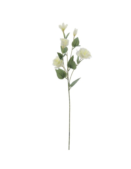 LISIANTHUS (6274-01)