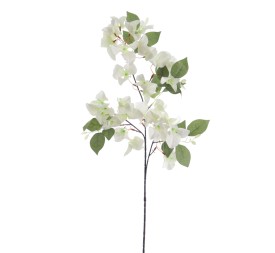 BOUGANVILLEA (6275-11)