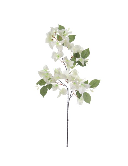 BOUGANVILLEA (6275-11)