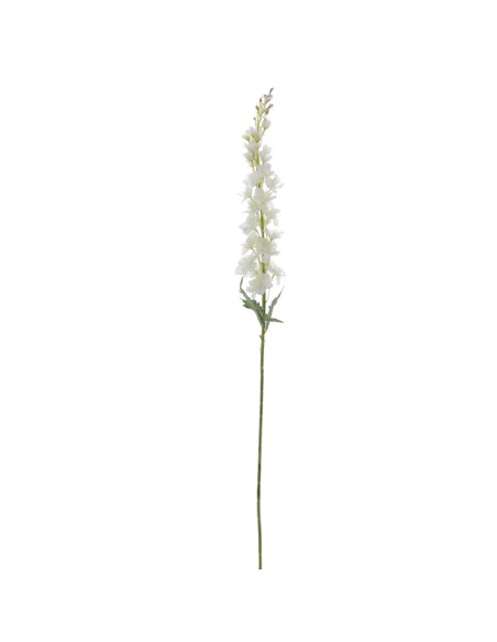 DELPHINIUM 100 CMS (6278-01)