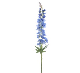 DELPHINIUM (6278-10)