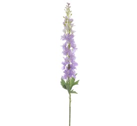 DELPHINIUM (6278-25)