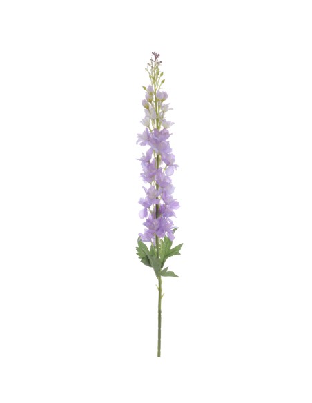DELPHINIUM (6278-25)