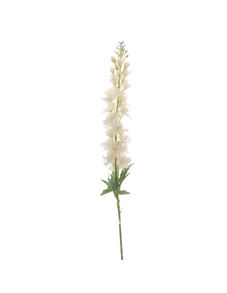 DELPHINIUM 100 CMS (6278-31)