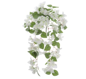 MATA BOUGANVILLEA (6405-01)