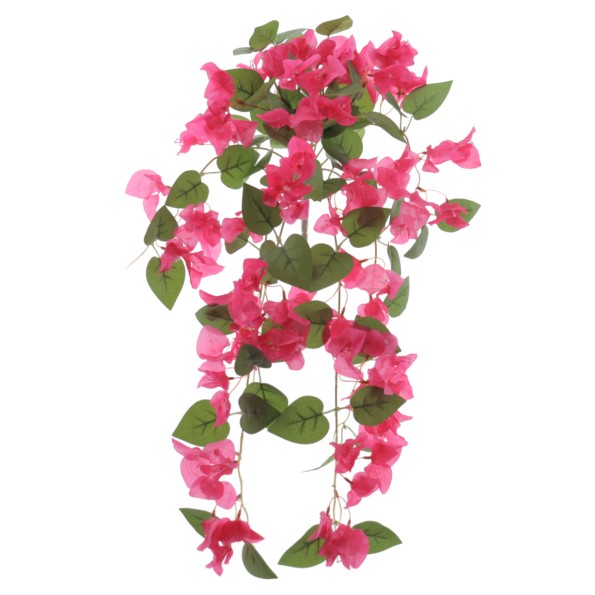 MATA BOUGANVILLEA 60 CMS (6405-07)