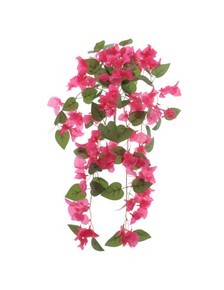 MATA BOUGANVILLEA 60 CMS (6405-07)