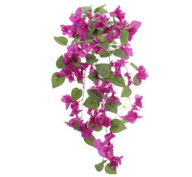 MATA BOUGANVILLEA (6405-16)