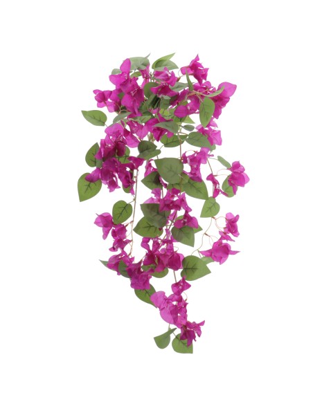 MATA BOUGANVILLEA (6405-16)