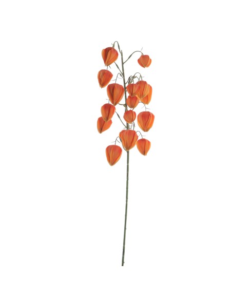 RHYPSALIS 70 CMS (6997-15)