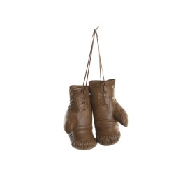 GUANTES BOXEO PIEL 31X18X16