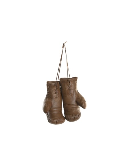GUANTES BOXEO PIEL 31X18X16