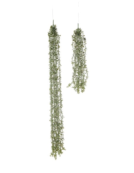COLGANTE EUCALIPTO X 14 74 CM
