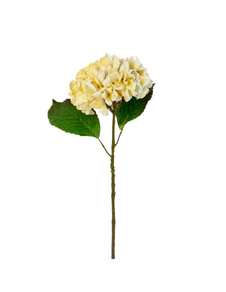 RAMA HORTENSIA CREMA-HELADA 56CM(12)