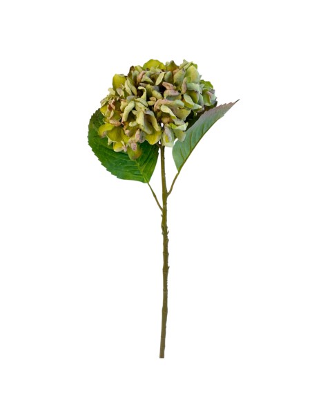 RAMA HORTENSIA VERDE-HELADA 56CM(12)