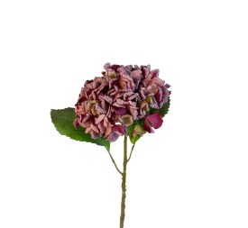 RAMA HORTENSIA GRANATE-HELADA 56CM(12)