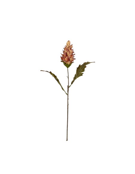 VARA CURCUMA ROSA-AMAR 60CM-2HOJ(60)