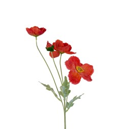 RAMA AMAPOLA ROJO (R.T) 63CM(24)