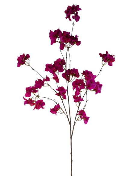 RAMA BUGANVILLA FUCSIA 132CM (6)