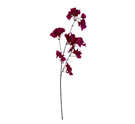 RAMA BUGANVILLA FUCSIA 86CM (12)