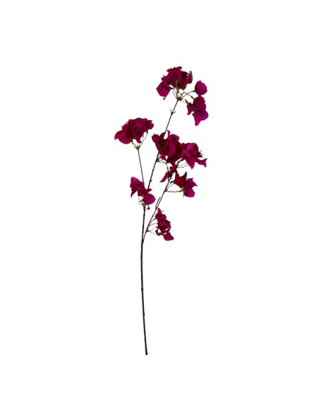 RAMA BUGANVILLA FUCSIA 86CM (12)