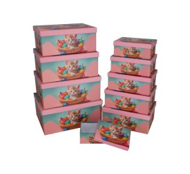SET 10 CAJAS GATO 37,5X29X16 CM