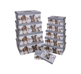 SET 10 CAJAS MASCOTAS 37,5X29X16 CM
