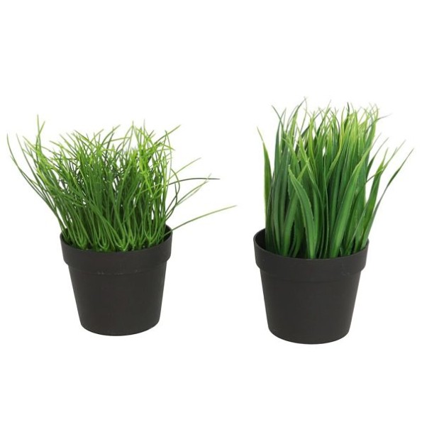 MACETA GRASS SURTIDOS 16 CM