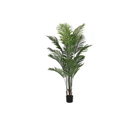 PLANTA PE CEMENTO 80X80X160 PALMERA VERDE
