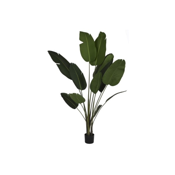 PLANTA PE CEMENTO 80X80X205 TRATAMIENTO UV VERDE