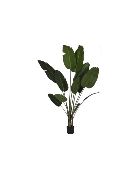 PLANTA PE CEMENTO 80X80X205 TRATAMIENTO UV VERDE