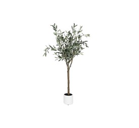 ARBOL PE 42X45X150 OLIVO VERDE