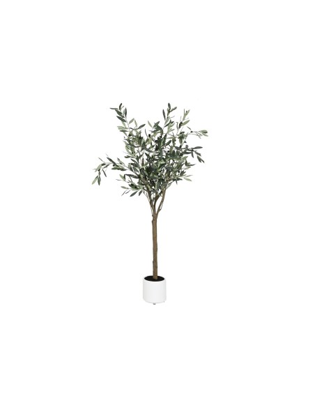 ARBOL PE 42X45X150 OLIVO VERDE