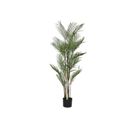 PLANTA PE PP 92X92X150 KWAI PALMERA VERDE