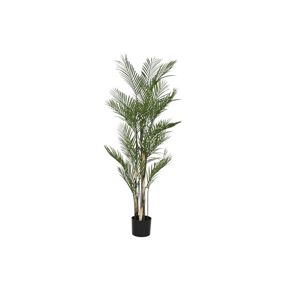 PLANTA PE PP 92X92X150 KWAI PALMERA VERDE