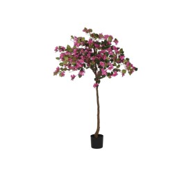 PLANTA PE 80X80X150 BUGANVILLA FUCSIA
