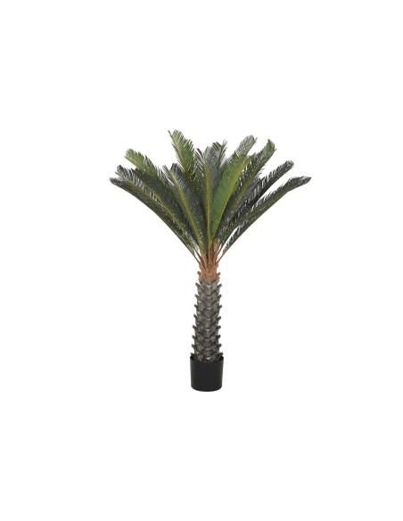 PLANTA PE 80X80X140 CYCAS VERDE