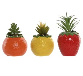 PLANTA CERAMICA PE 9X9X14 3 SURT.