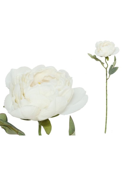 VARA PEONIA DRIED - 50 CM (BLANCO)