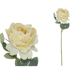 VARA PEONIA DRIED - 50 CM (OCRE)