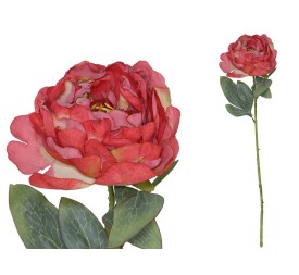 VARA PEONIA DRIED - 50 CM (ROJO)