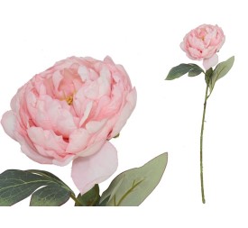 VARA PEONIA DRIED - 50 CM (ROSA)