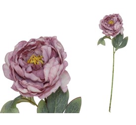 VARA PEONIA DRIED - 50 CM (VIOLETA)