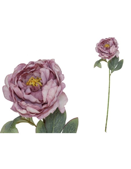 VARA PEONIA DRIED - 50 CM (VIOLETA)