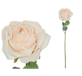 VARA ROSA DRIED - 51 CM (BEIGE)