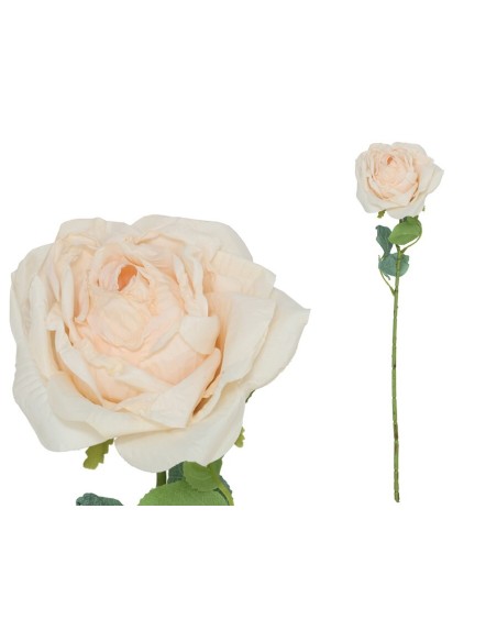 VARA ROSA DRIED - 51 CM (BEIGE)
