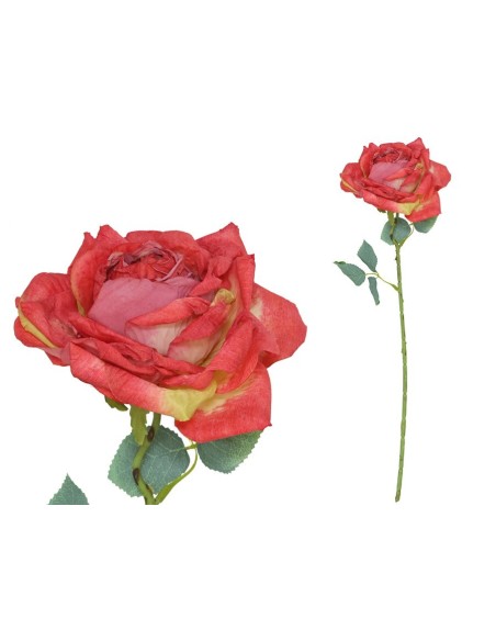 VARA ROSA DRIED - 51 CM (ROJO)