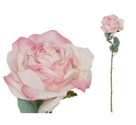 VARA ROSA DRIED - 51 CM (ROSA)