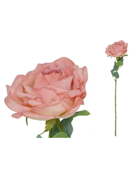 VARA ROSA DRIED - 51 CM (FUCSIA)